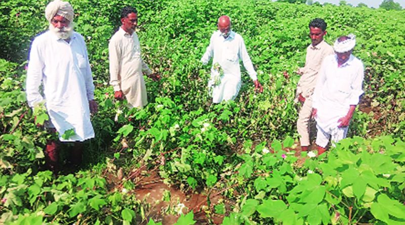 आशंकाओं के भंवर जाल में मोदी सरकार के किसान बिल – The Punjab Pulse