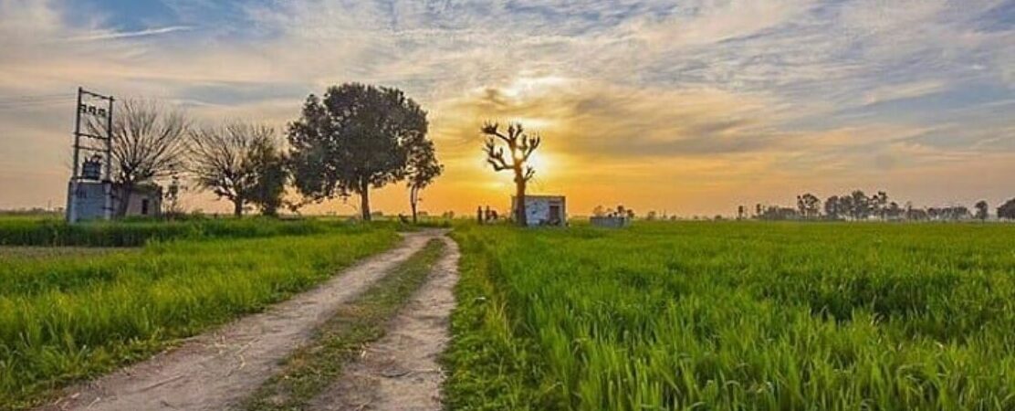 Punjab needs a new approach, a new narrative, and a new vision