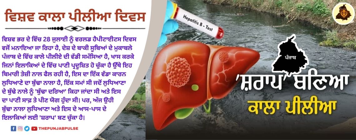 ਵਿਸ਼ਵ ਕਾਲਾ ਪੀਲੀਆ ਦਿਵਸ